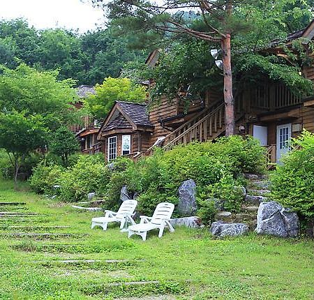 Mayfair Deneb Pension Pchjongčchang Exteriér fotografie